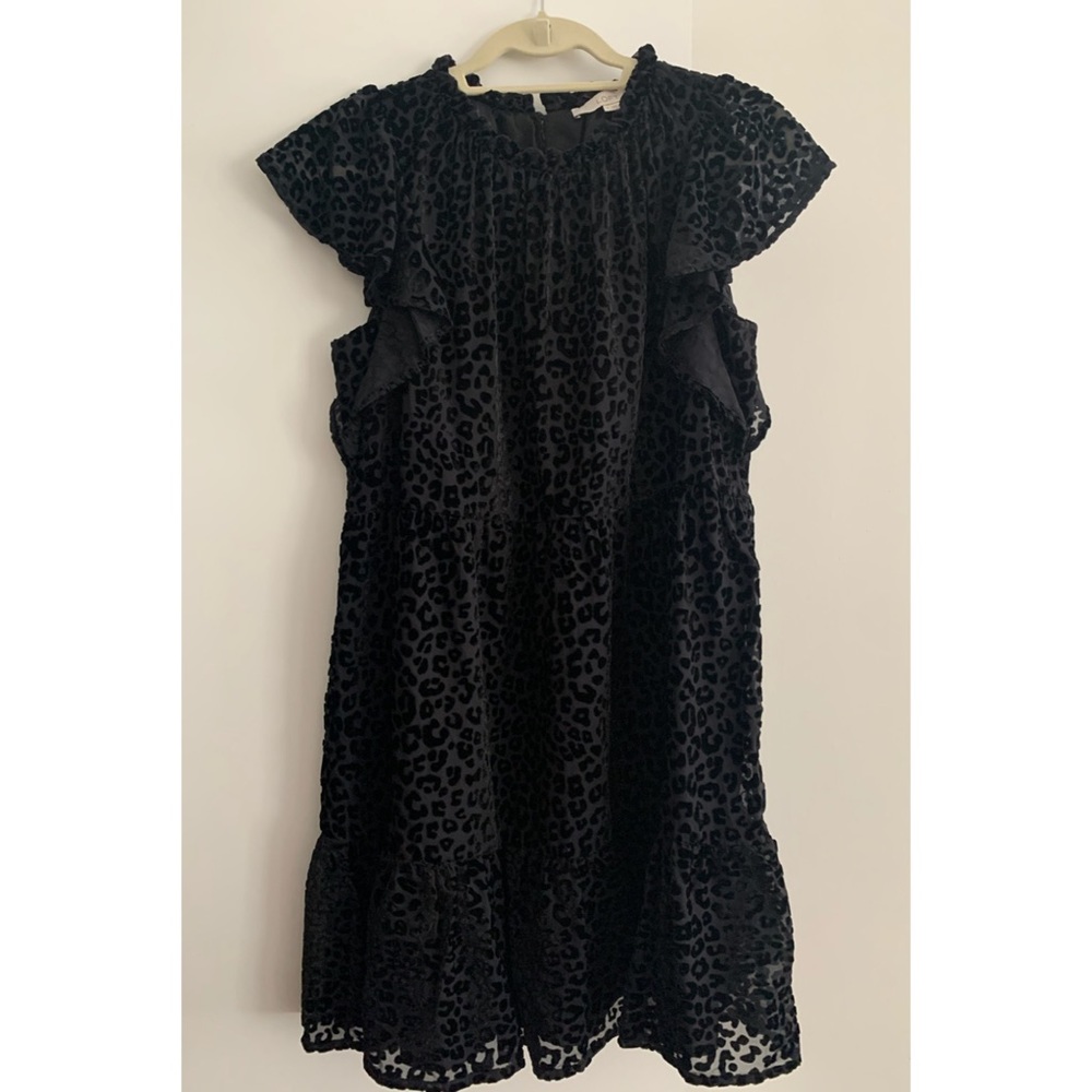 NWT LOFT black velvet leopard swing dress